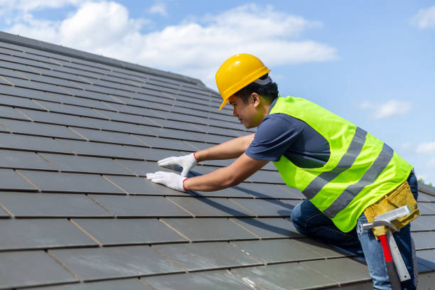 Best Solar Panel Roofing Installation  in Lowes Island, VA